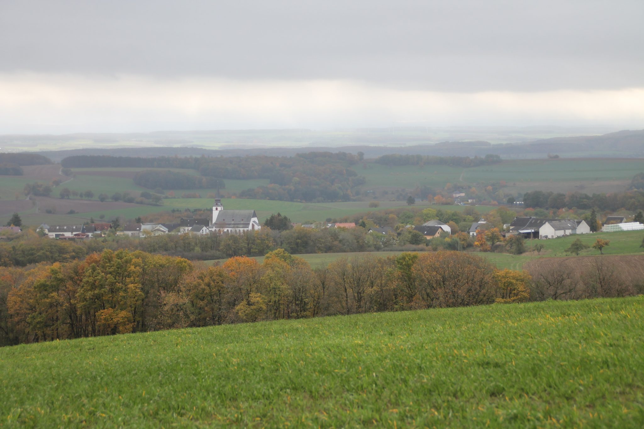 Willkommen in Weidingen Ortsgemeinde Weidingen
